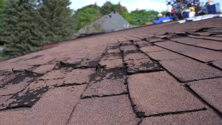 Best Roof Coating and Sealing  in Forest City, IA