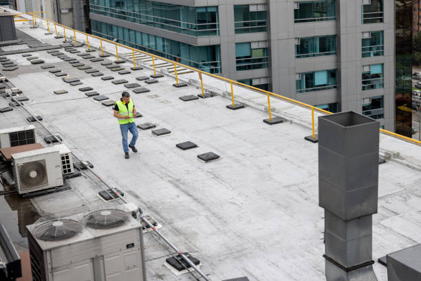 Best Roof Ventilation Installation  in Forest City, IA