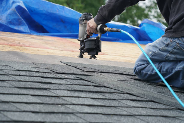 Best Roof Installation  in Forest City, IA