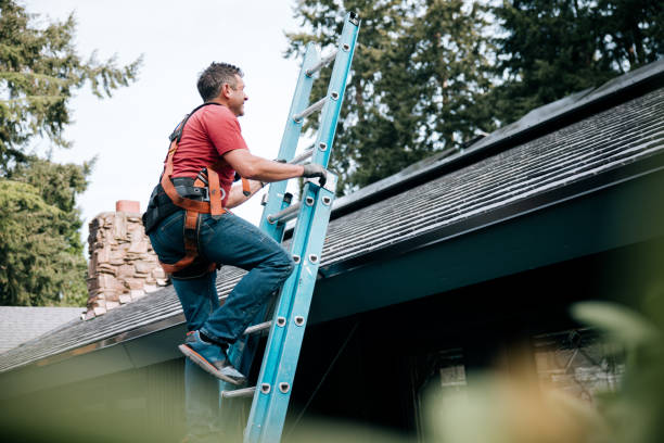 Best Sheet Metal Roofing  in Forest City, IA