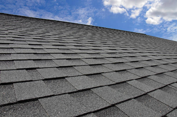 Best Gutter Installation and Repair  in Forest City, IA