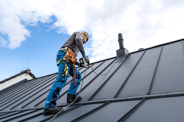 Best Skylight Installation and Repair  in Forest City, IA